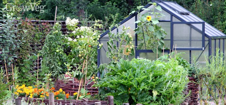 How to Plan a Bigger, Better Vegetable Garden