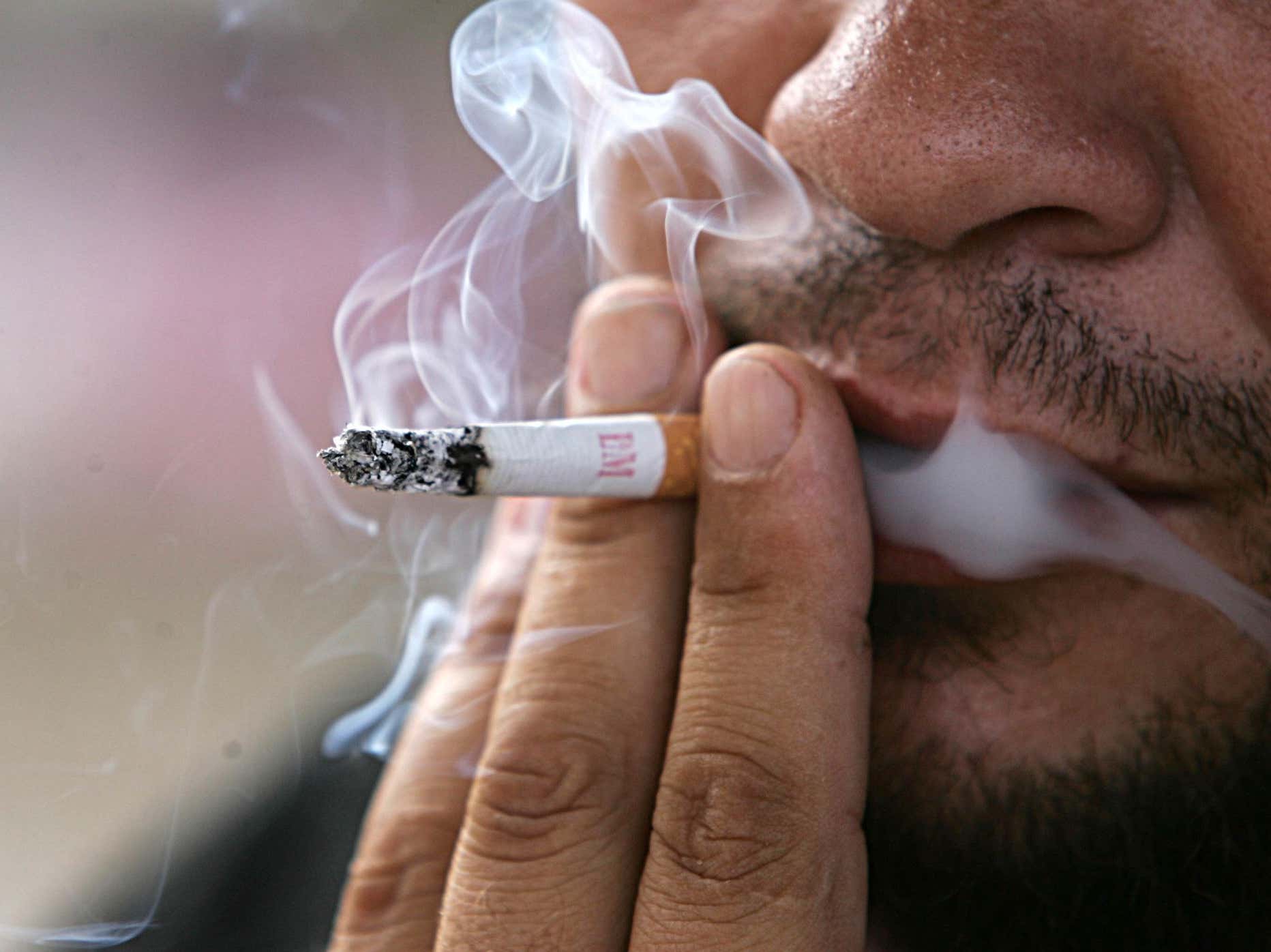 San Francisco Officially Bans Smoking Cigs Inside Of Your Own Apartment, Approves Weed
