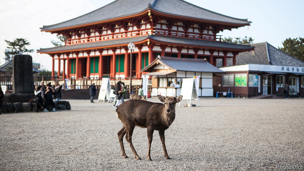 A crash in tourism leaves Japanese deer ravenous for treats