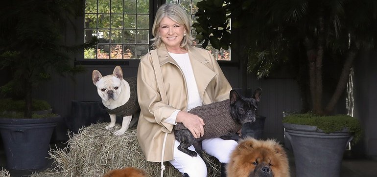 Retail Therapy: Martha Stewart releases cannabis line for dogs
