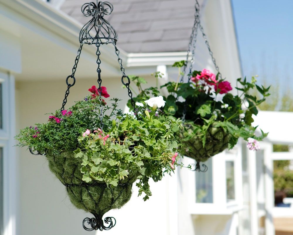 8 Trendy Hanging Plants Ideas To Make Home Patio More Attractive