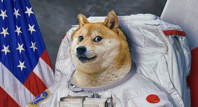 DOGE Briefly Passes XRP as 4th Largest Cryptocurrency Ahead of ‘Dogeday’