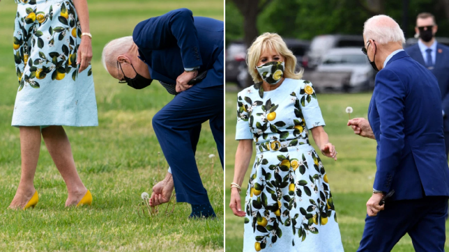 Moment Joe Biden stops to pick dandelion for first lady Jill