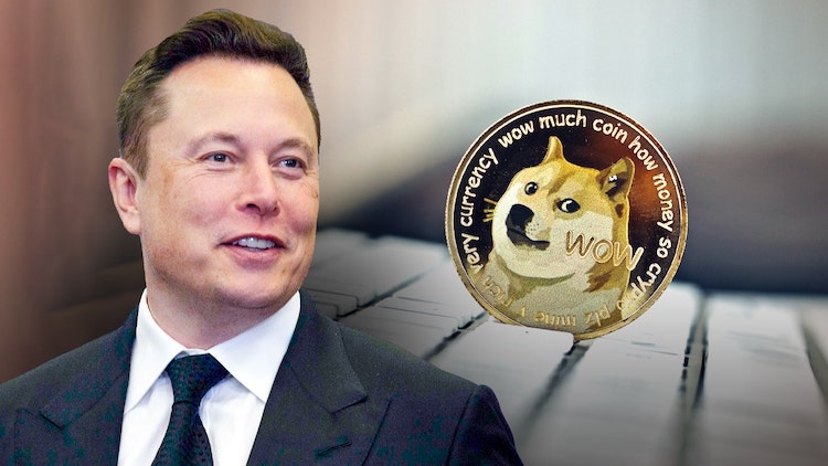 Elon Musk: DOGE and Crypto Are The Future, Here's Why