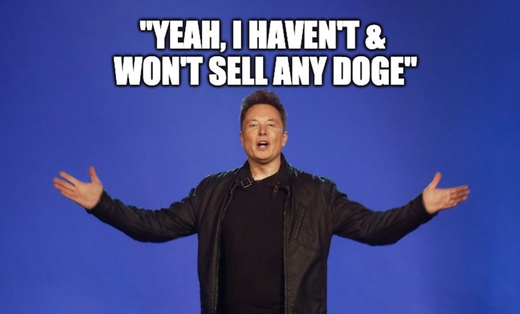 Elon Musk: 'I haven't and won't sell any Doge'