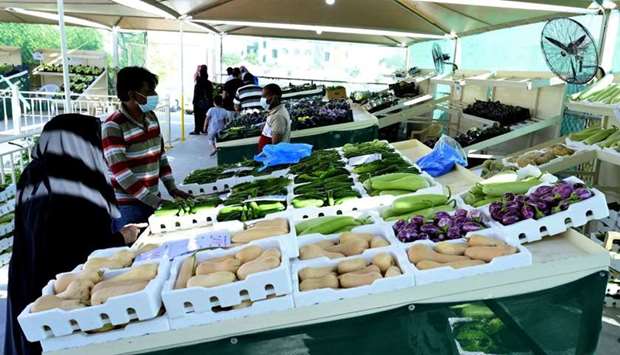 Sales at local agri yards go up by 21% this year