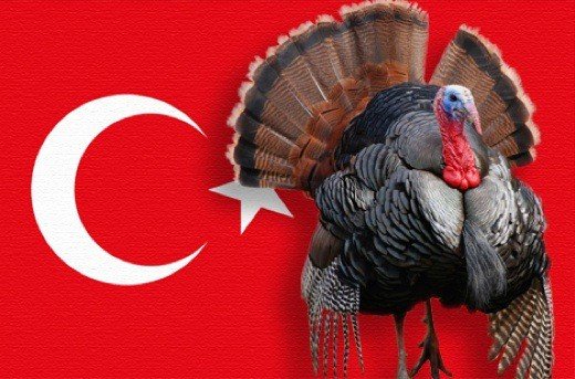 Turkey changes its name to Türkiye to avoid confusion with bird of same name