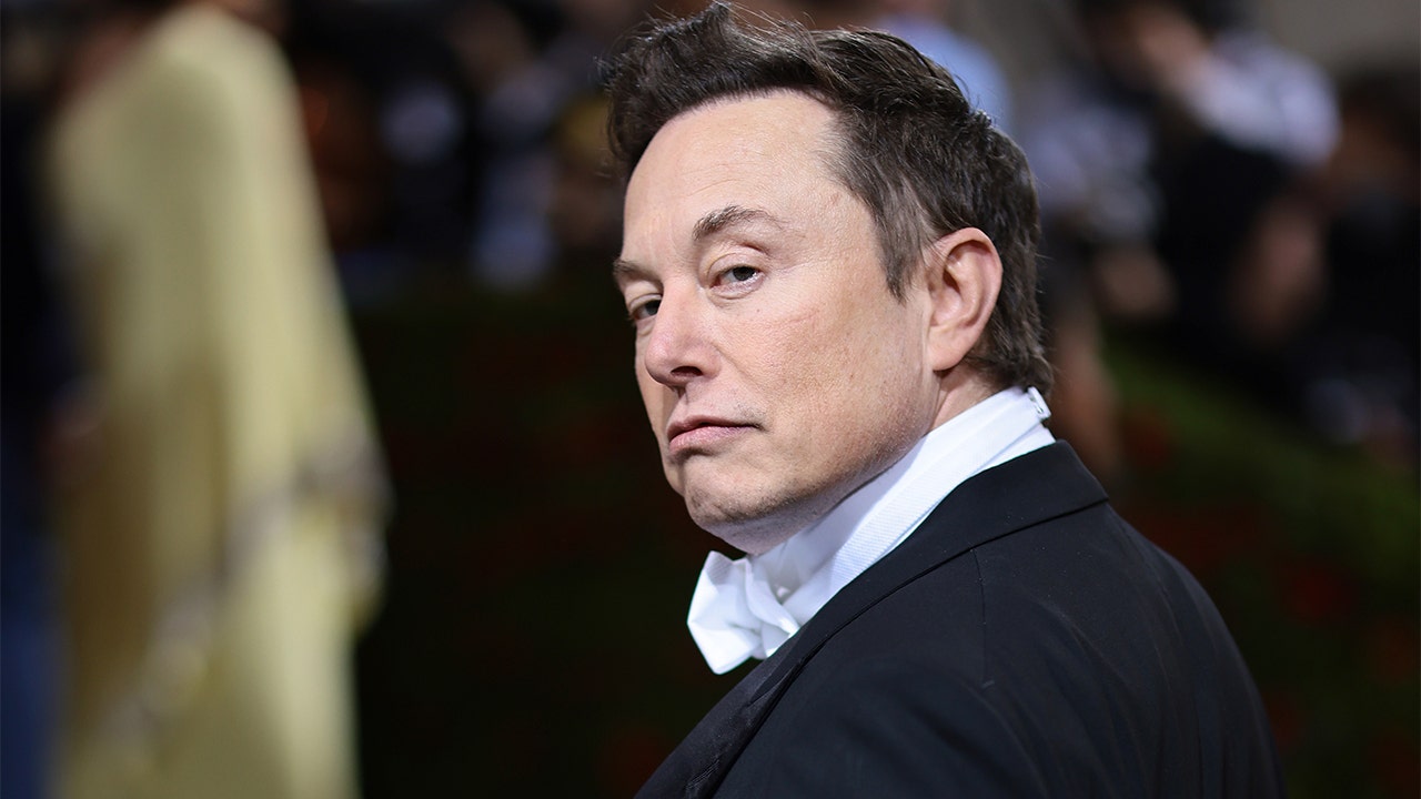 Elon Musk 'worried' Twitter lacks incentive to fix spam bots: 'Very suspicious'