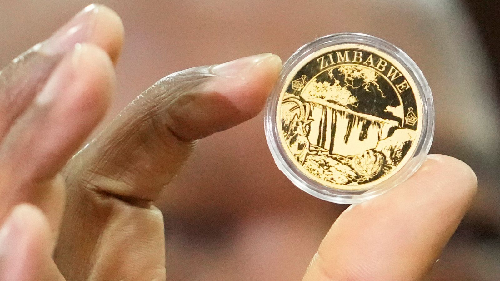 Zimbabwe launches gold coins as legal tender to tackle hyperinflation