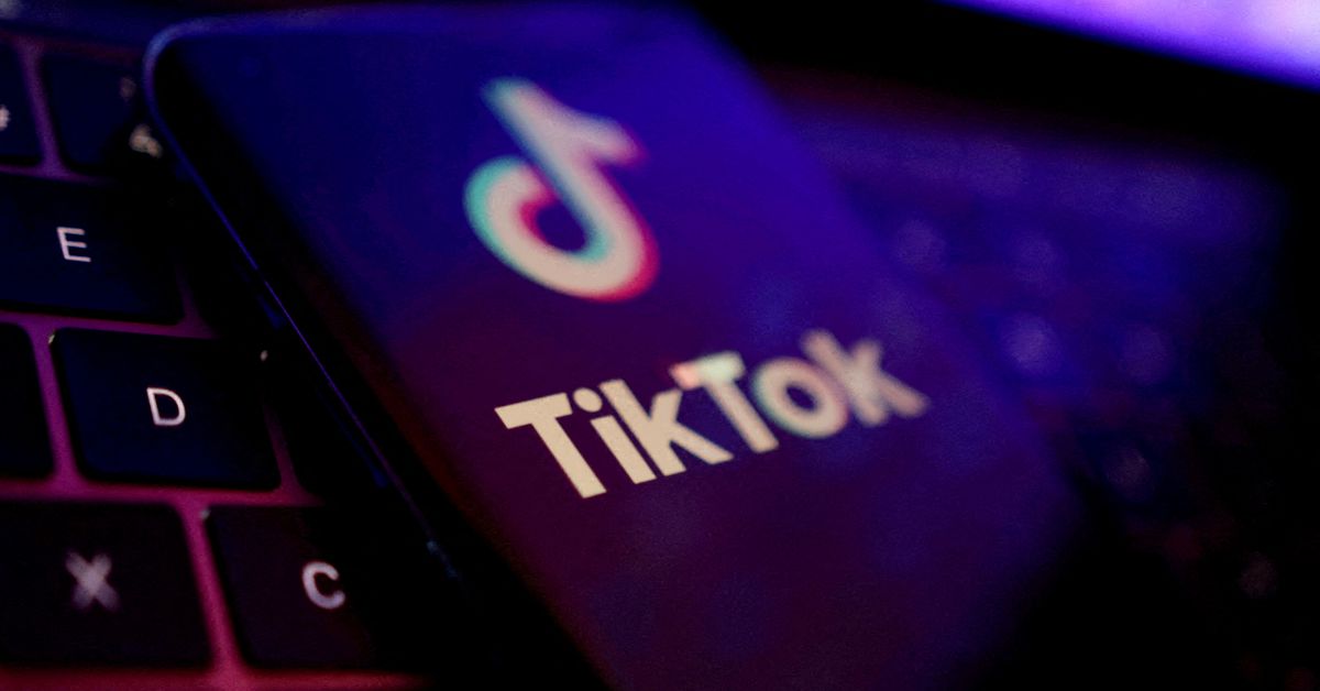 UK's National Cyber Security Centre reviewing TikTok risks, minister says